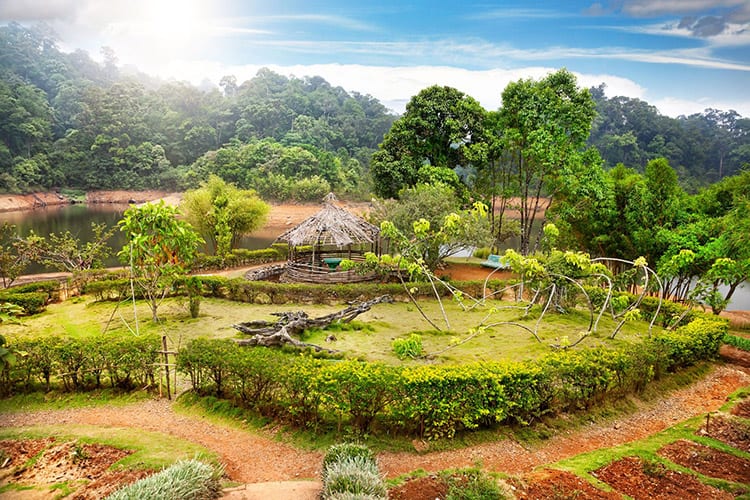 Periyar Wildlife Sanctuary