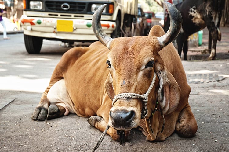 Mumbai