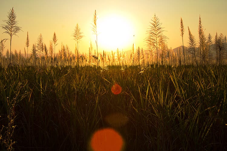 Inle Lake trekking