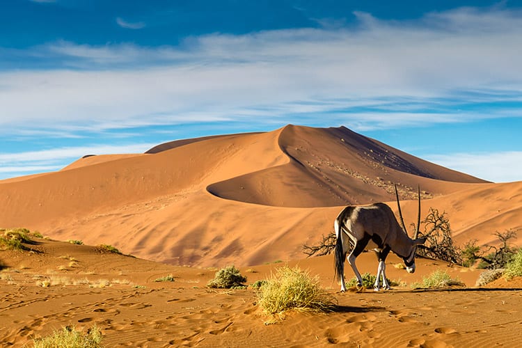 Sossusvlei