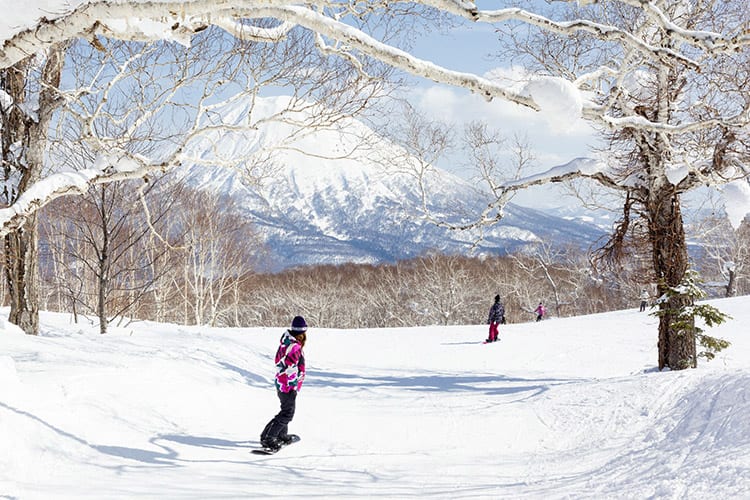 Niseko