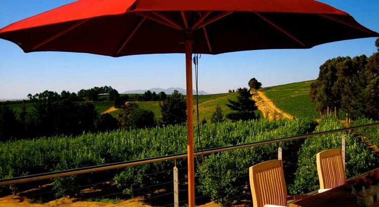 Marianne Wine Estate