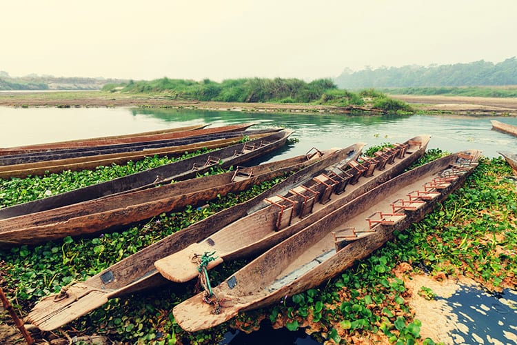 Chitwan National Park