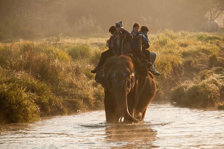Chitwan olifanten centrum