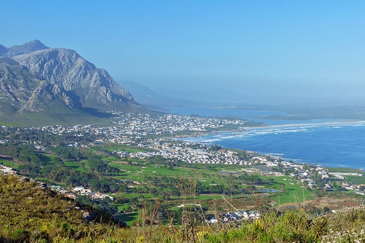 Hermanus