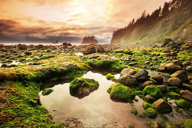 Olympic National Park