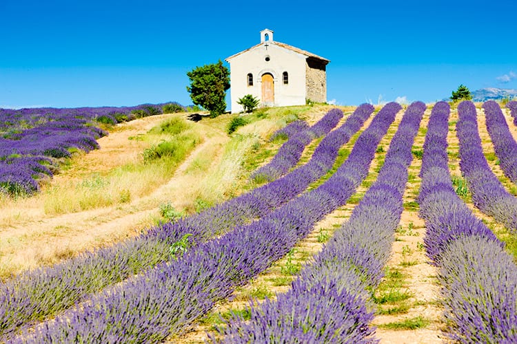 Provence