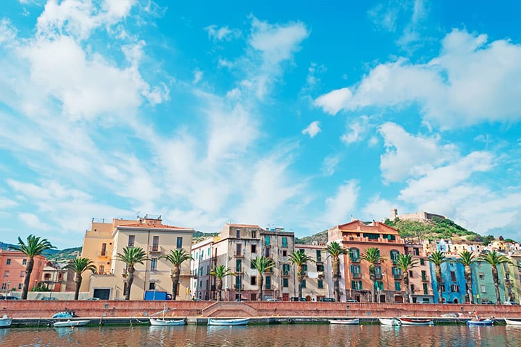 Bosa