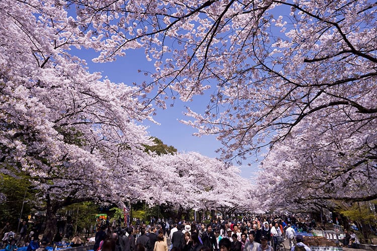 Ueno Koen, Tokyo