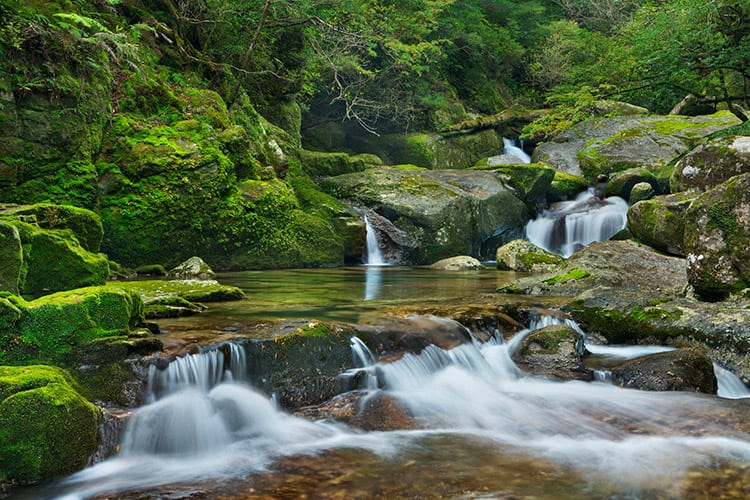 Yakushima