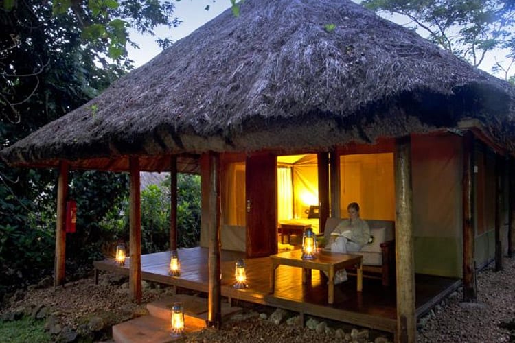 Sanctuary Gorilla Forest Camp