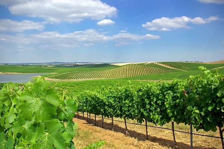 Alentejo