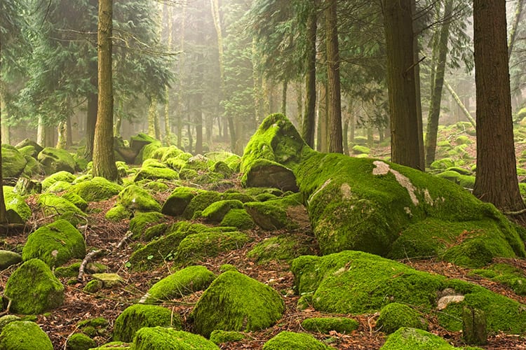 Peneda-Gerês National Park