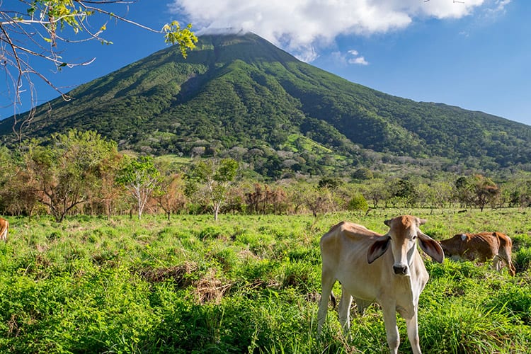 Concepción vulkaan, Isla de Ometepe