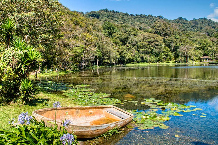 Selva Negra natuurreservaat, Matagalpa