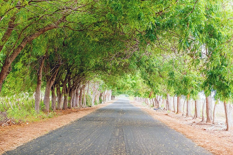 Azuero Peninsula