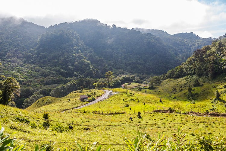 Boquete natuur