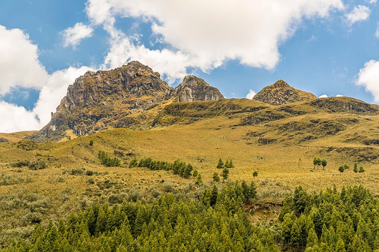 El Cajas, Ecuador