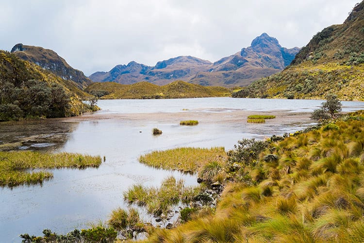 El Cajas