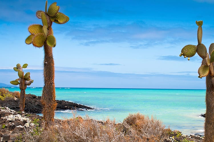 Galapagos eilanden