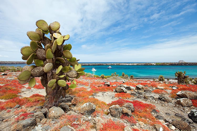 Galapagos eilanden