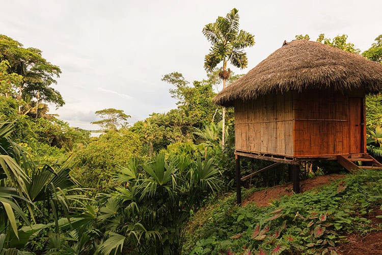 Yasuní National Park lodge