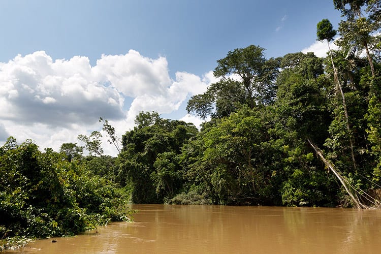 Yasuní National Park