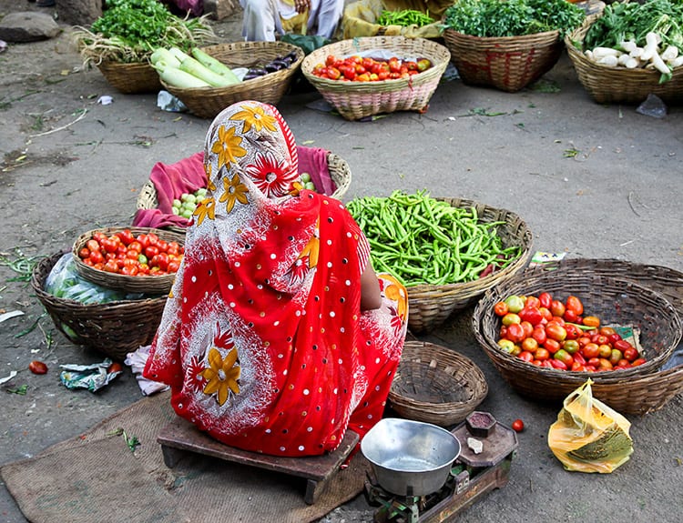 Udaipur