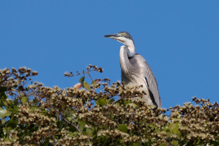Kasungu National Park