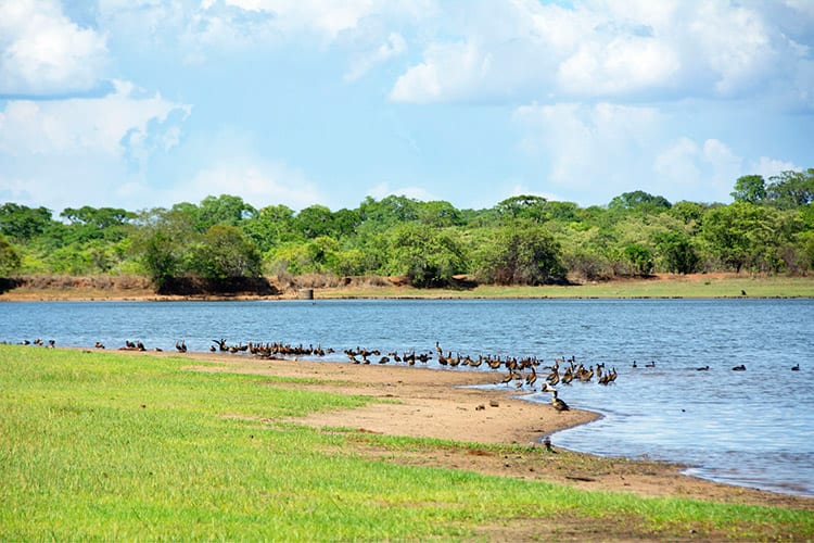 Kasungu National Park