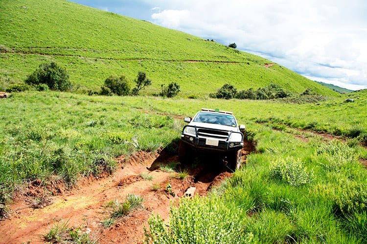 Nyika National Park safari