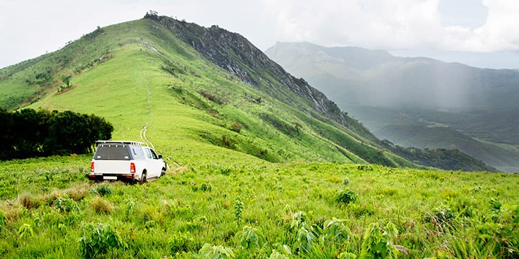 Nyika National Park safari