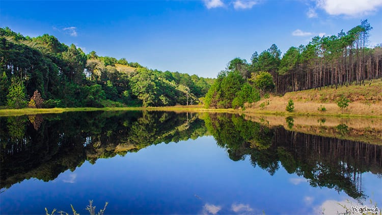 Zomba Plateau