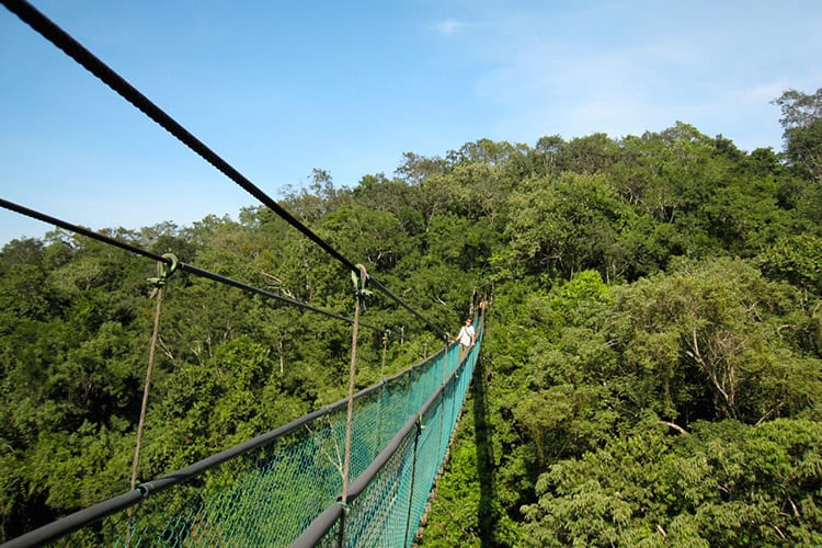 National Park Ixpanpajul