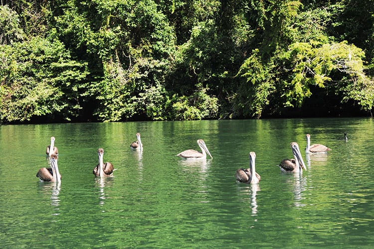 Rio Dulce