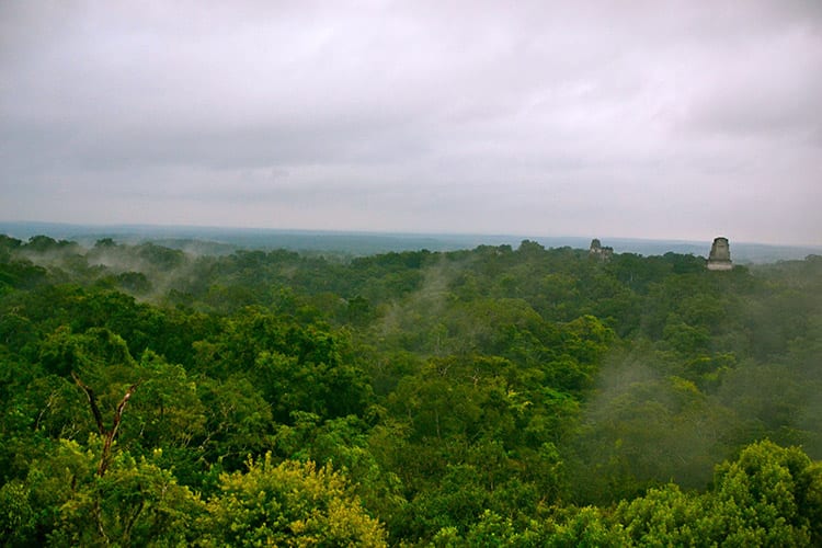 Tikal