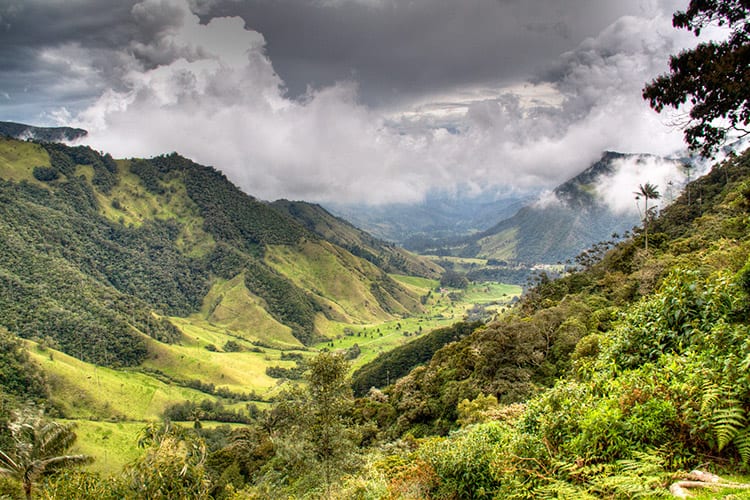 Cocora Vallei