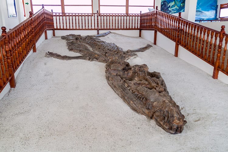 El Fósil museum, Villa de Leyva