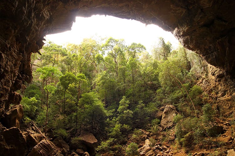 Bat Cave in het Ankarana National Park