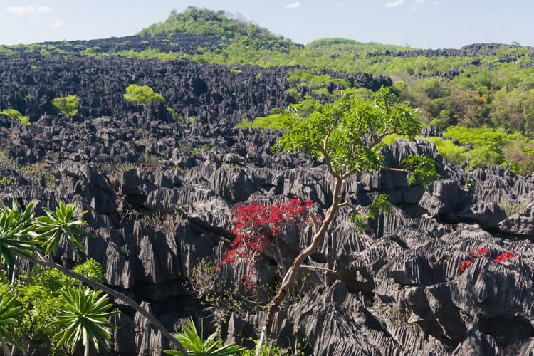 Tsingy in het Ankarana National Park