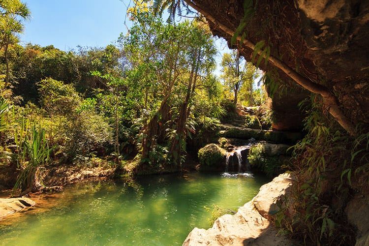 Piscine Naturelle
