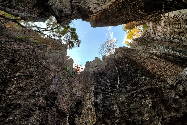 Tsingy de Bemaraha