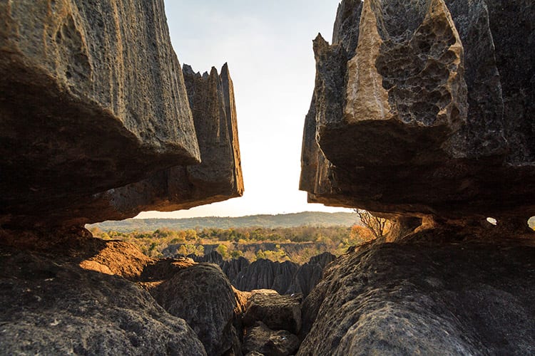 Tsingy de Bemaraha