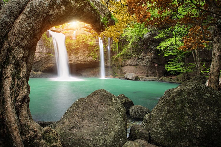 Khao Yai National Park