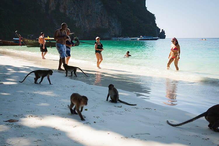 Monkey Beach, Koh Phi Phi