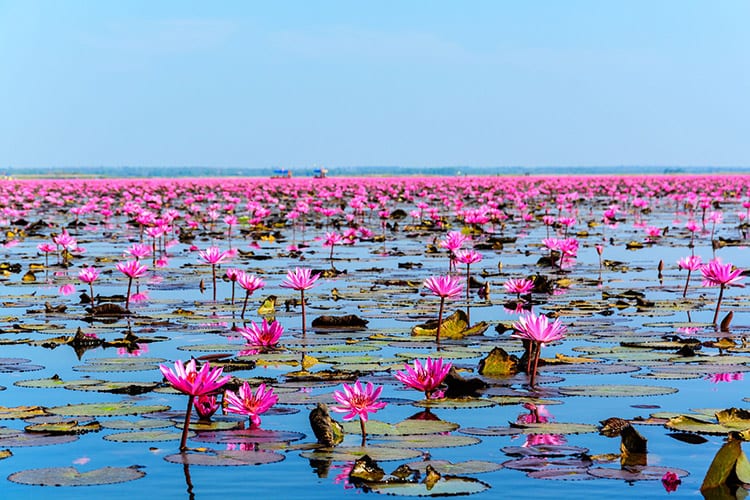 Udon Thani
