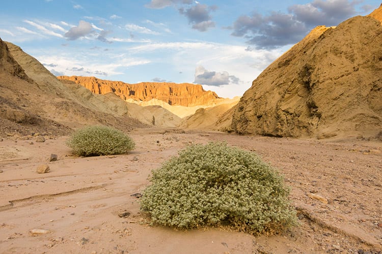 Golden Canyon Trail, Death Valley