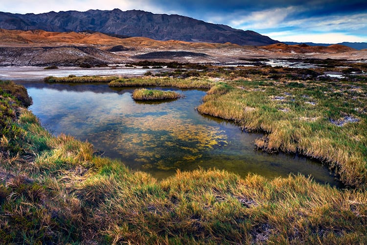 Salt Creek, Death Valley