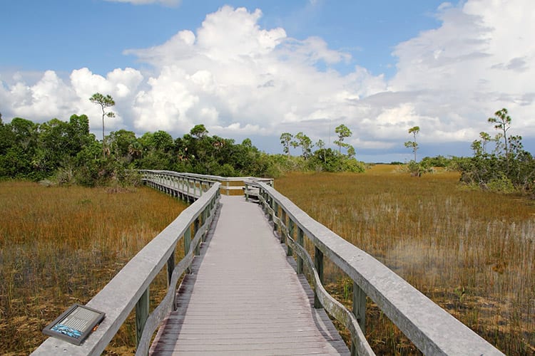 Everglades National Park wandelen