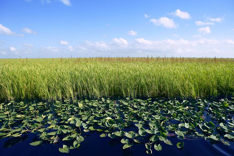 Everglades National Park